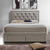 Apollo Luxury Upholstered Bed in Suede