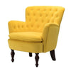 Oppo Luxury Accent Chair In Suede