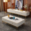 Pop Star Luxury Center Table In PU & Stainless Steel 304