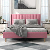 Extrey Premium Upholstered Bed Without Storage In Suede